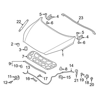 Kia OE - Hood & Components