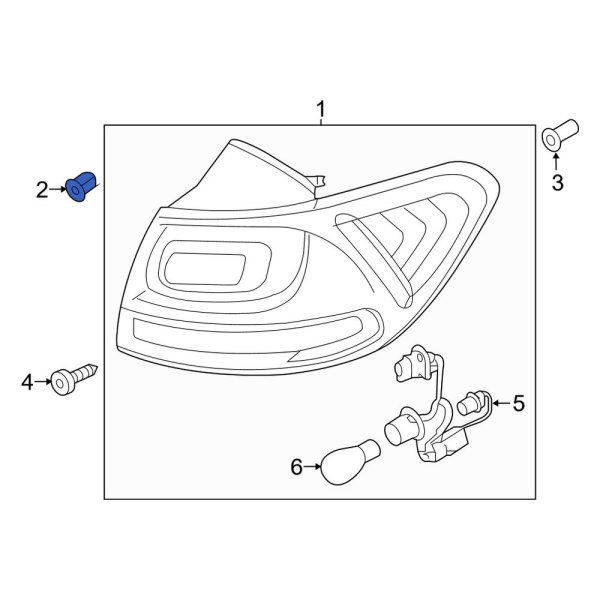 Tail Light Nut