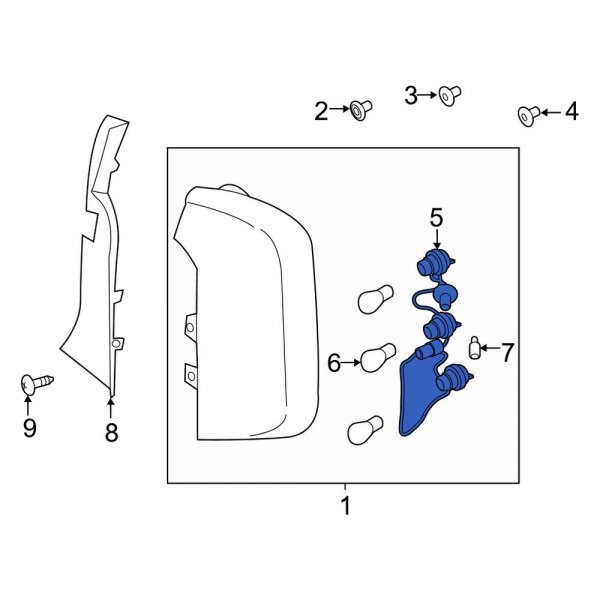 Tail Light Wiring Harness