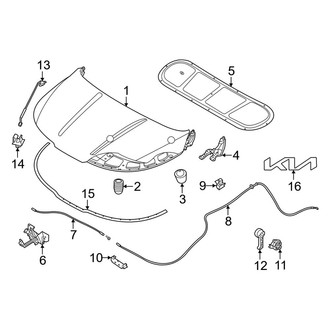 Kia OE - Hood & Components