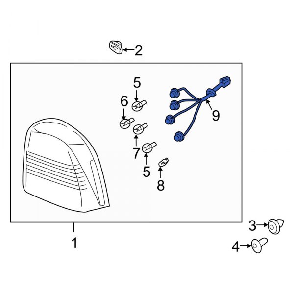 Tail Light Wiring Harness