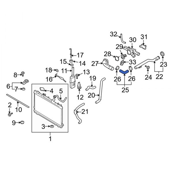 Radiator Coolant Hose