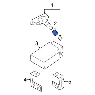 Kia OE - Tire Pressure Monitoring System (TPMS) Sensor Nut