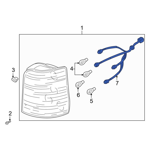 Tail Light Wiring Harness