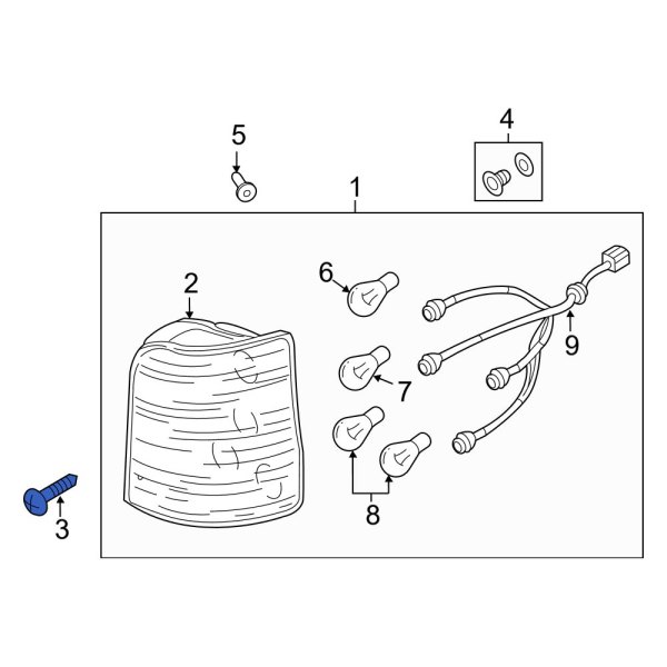 Tail Light Screw