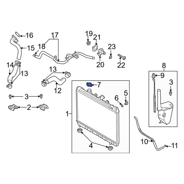 Radiator Cap