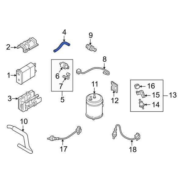 Evaporative Emissions System Lines