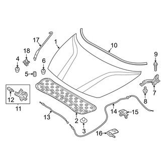 Kia OE - Hood & Components