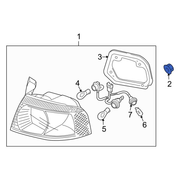 Tail Light Nut