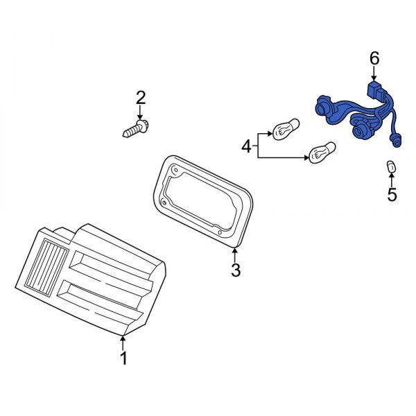 Tail Light Socket