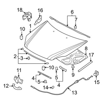Kia OE - Hood & Components
