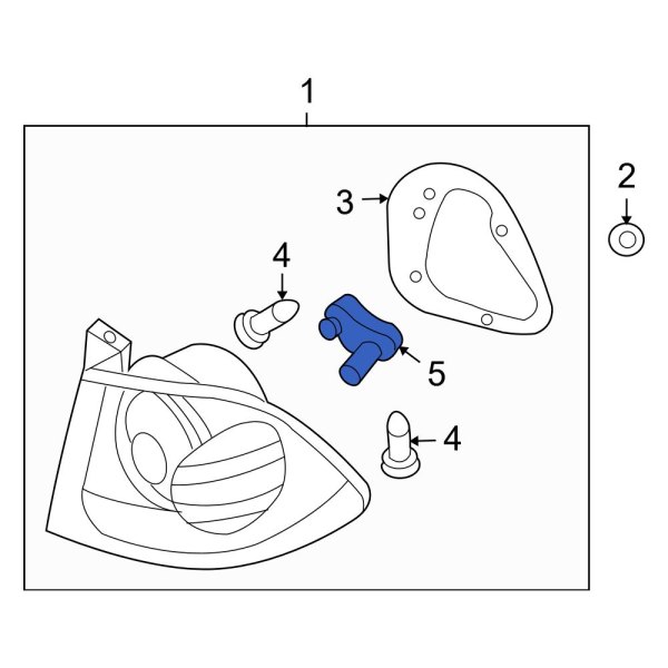 Tail Light Wiring Harness