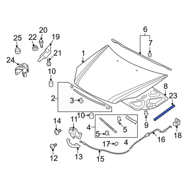 Hood Lift Support
