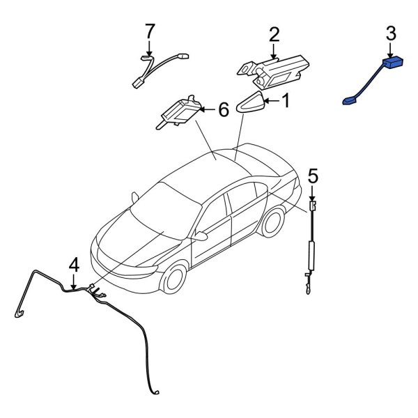 Radio Wiring Harness