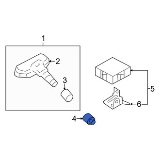 Kia OE - Tire Pressure Monitoring System (TPMS) Sensor Nut