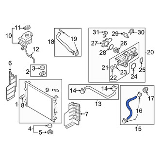 Kia OE - Lower Radiator Coolant Hose