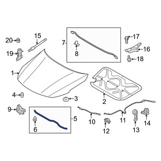 Kia OE - Front Hood Seal