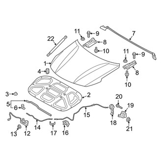 Kia OE - Hood & Components