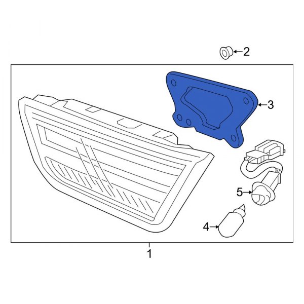 Back Up Light Assembly Gasket