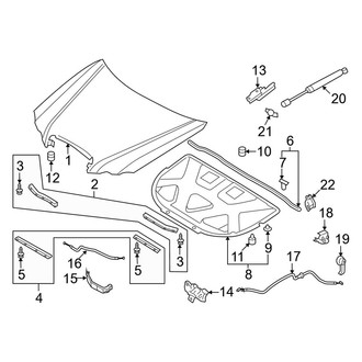 Kia OE - Hood & Components