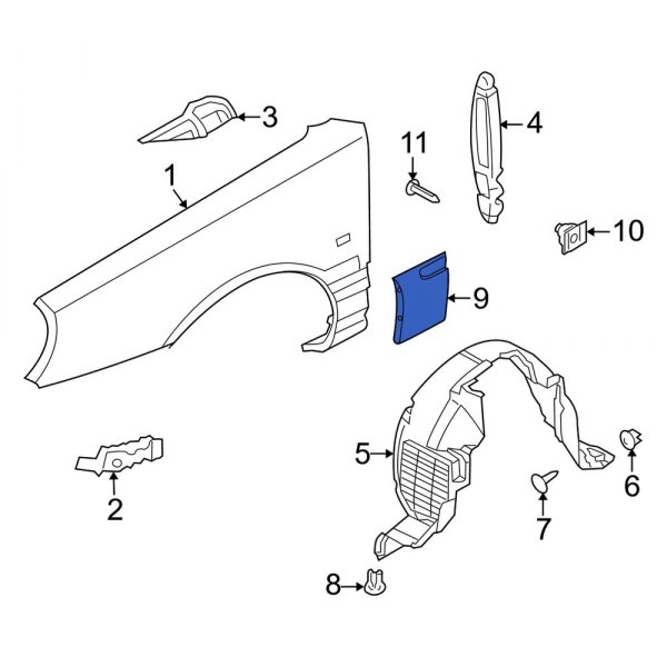 Fender Molding