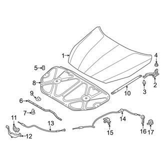 Kia OE - Hood & Components