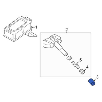Kia OE - Tire Pressure Monitoring System (TPMS) Sensor Nut