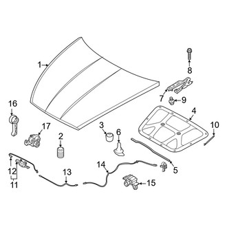 Kia OE - Hood & Components