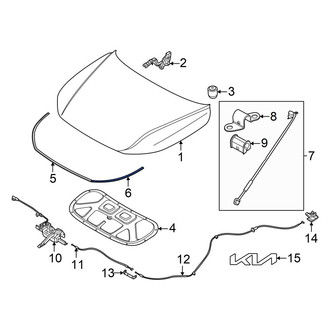 Kia OE - Front Outer Hood Seal