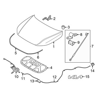 Kia OE - Hood & Components