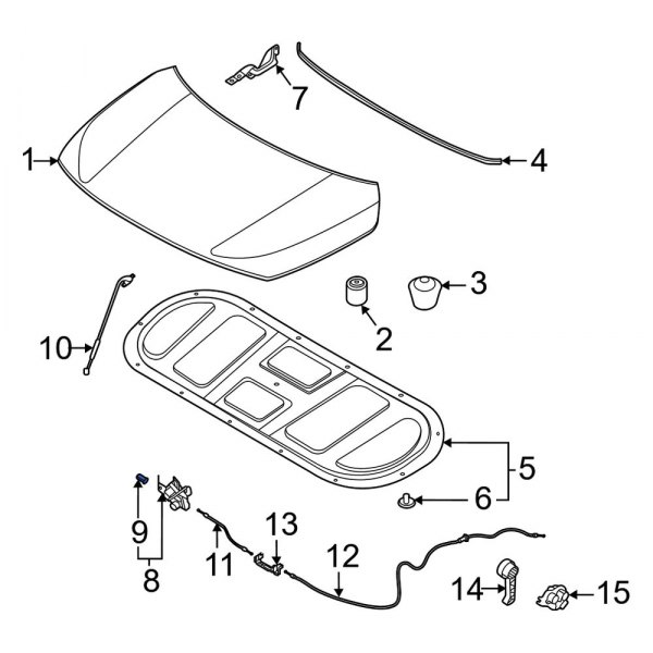 Hood Contact Switch