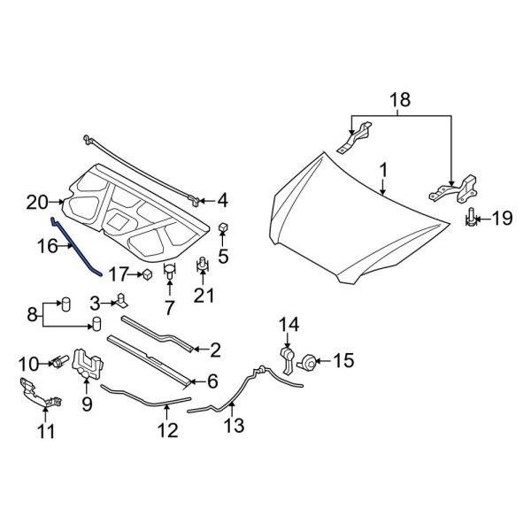 Hood & Trunk Prop Rod