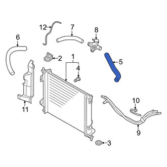 Kia OE - Upper Radiator Coolant Hose