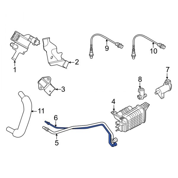 Evaporative Emissions System Lines