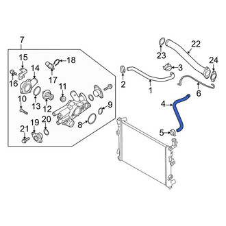 Kia OE - Lower Radiator Coolant Hose