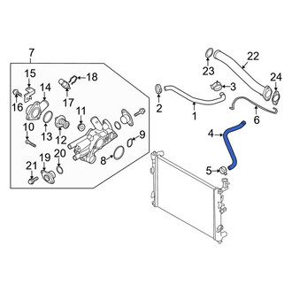 Kia OE - Lower Radiator Coolant Hose
