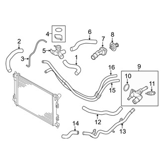 Kia OE - Cooling - Hoses & Lines (2.0L)