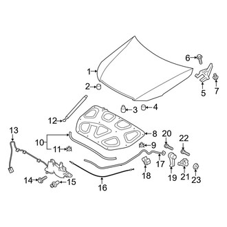 Kia OE - Hood & Components