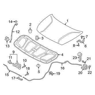 Kia OE - Hood & Components