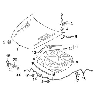 Kia OE - Hood & Components