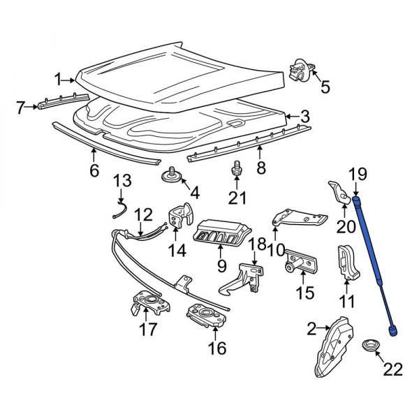 Hood Lift Support