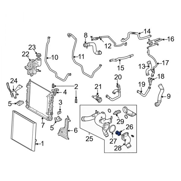 Engine Coolant Thermostat