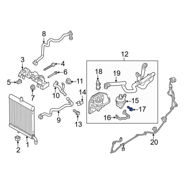 Engine Water Pump Bolt