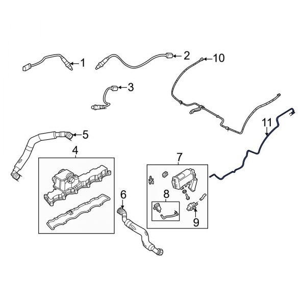 Evaporative Emissions System Lines