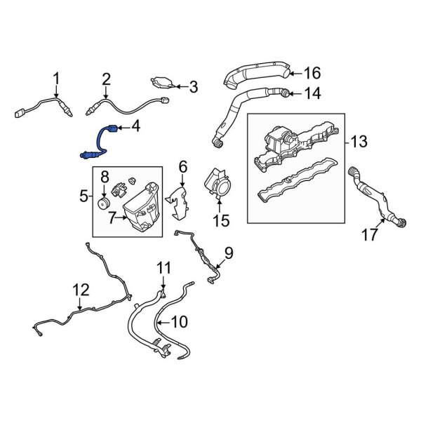 Oxygen Sensor