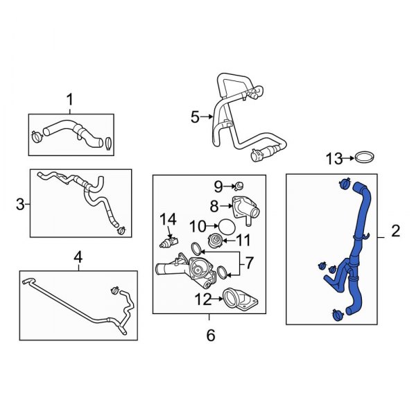 Radiator Coolant Hose