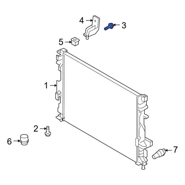 Radiator Screw