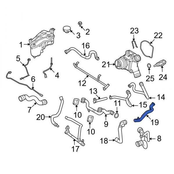 Radiator Coolant Hose