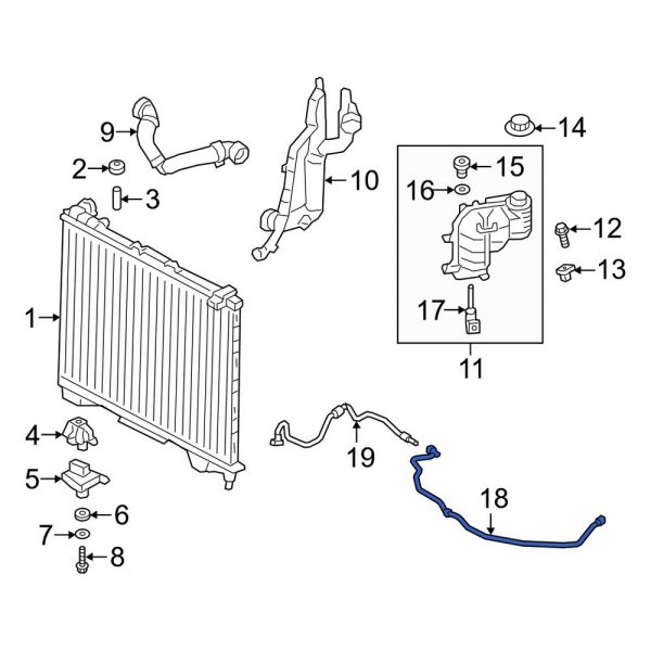 Engine Coolant Overflow Hose