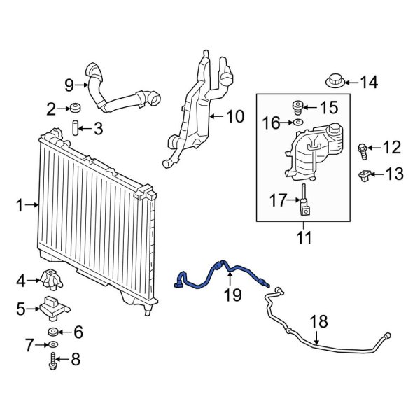 Engine Coolant Overflow Hose